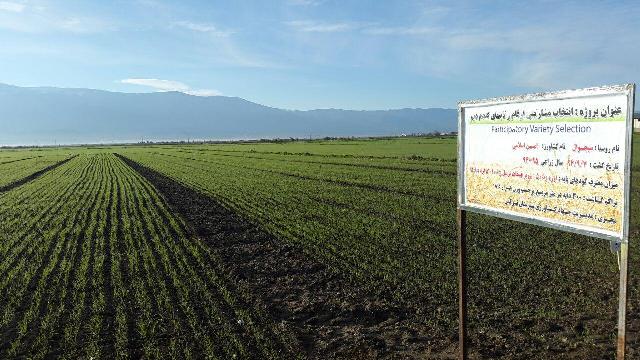 photo_2015-12-26_10-14-55