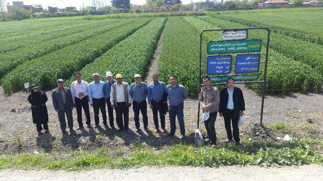 photo_2016-04-13_15-34-03