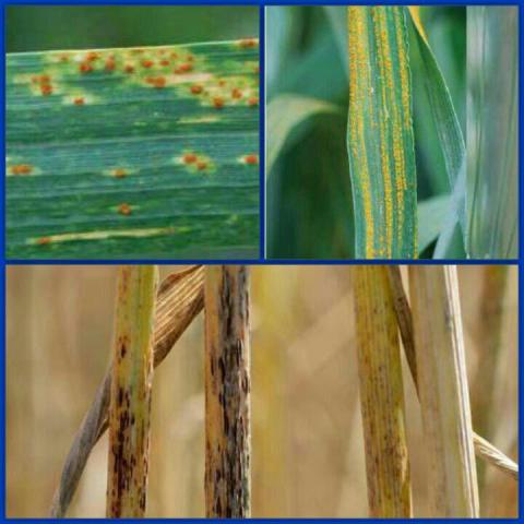 photo_2016-04-17_13-57-01