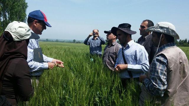 photo_2016-05-11_11-04-02