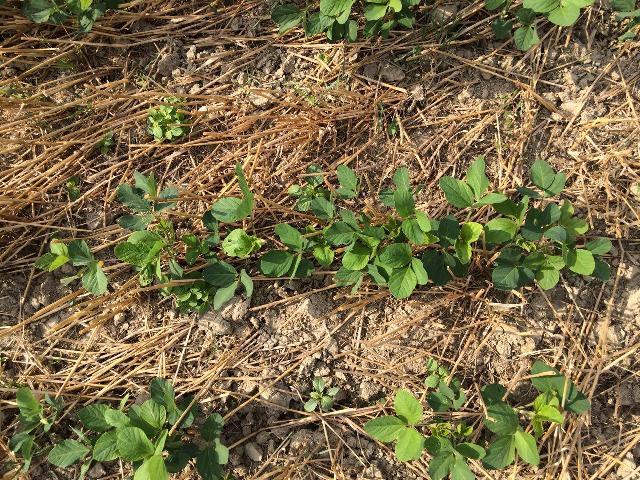 photo_2016-07-02_08-17-45